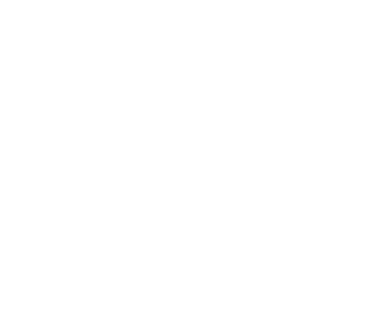 BeeBoo LLC Logo in white